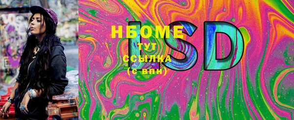 шишки Вяземский