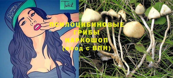 соль ск Вязьма