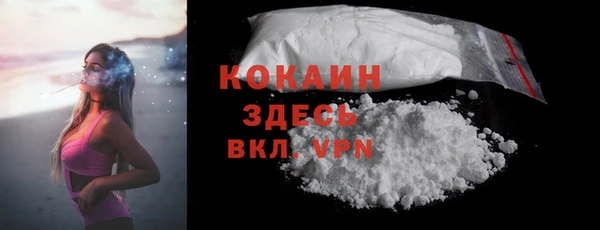 Альфа ПВП Горняк