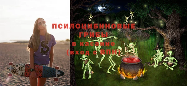 шишки Вяземский
