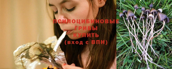 соль ск Вязьма